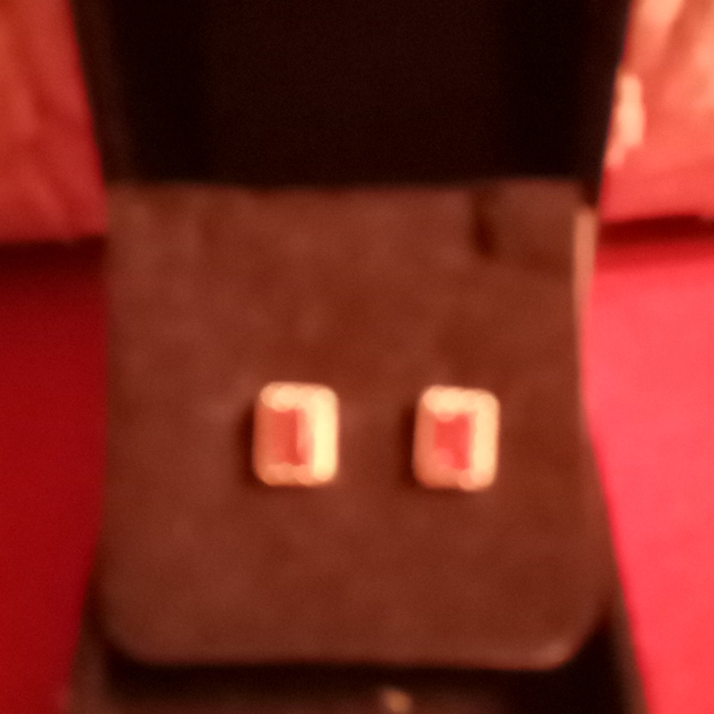 SS 4ct Princess cut Garnet Post Stud Earrings